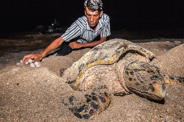 روستای شیب دراز قشم